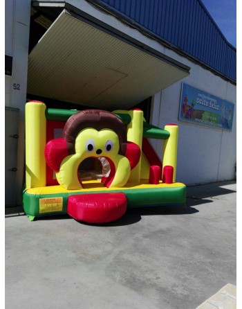 Alquiler castillo hinchable... 2