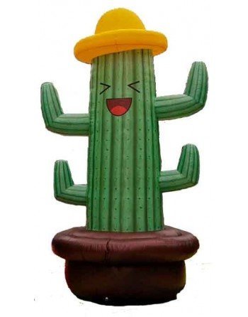 Juego de anillas Cactus 1 x 1 x 2m.