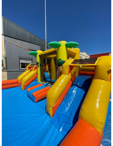 Aluguel de castelo de água inflável...