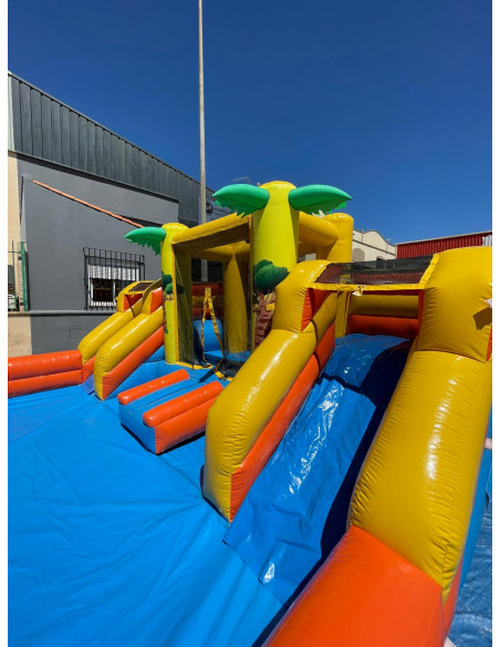 Alquiler castillo hinchable acuatico Palmeras 5 x 4 x 2,50