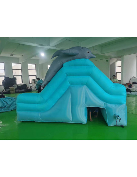 Castillo de alquiler Tobogan acuatico delfines