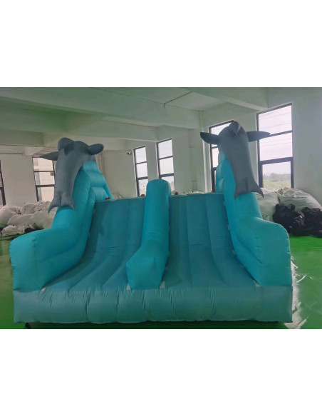 Toboágua dos golfinhos