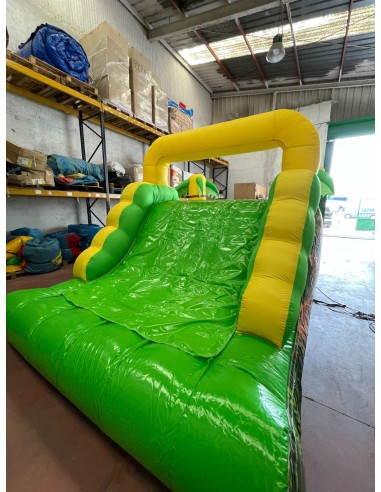 Alquiler Pista Americana Lilo Y Stich...