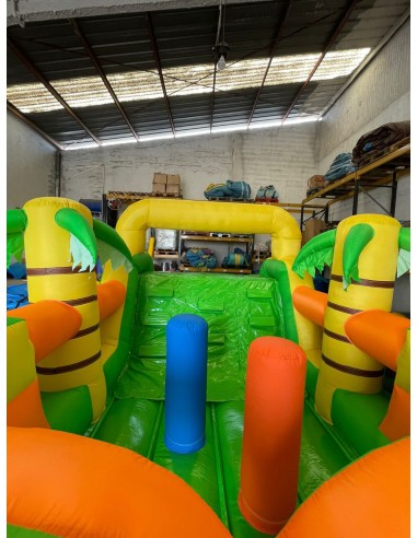 Alquiler Pista Americana Lilo Y Stich...