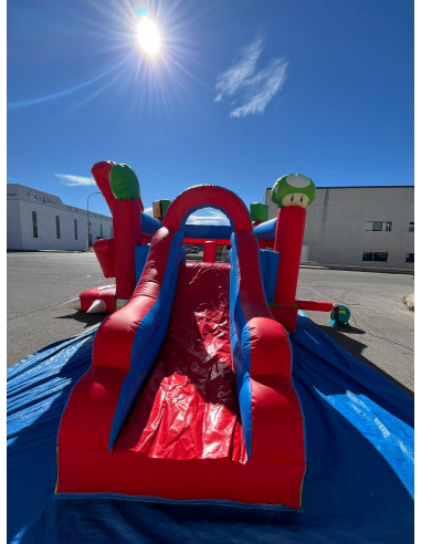 Alquiler castillo hinchable Mario...