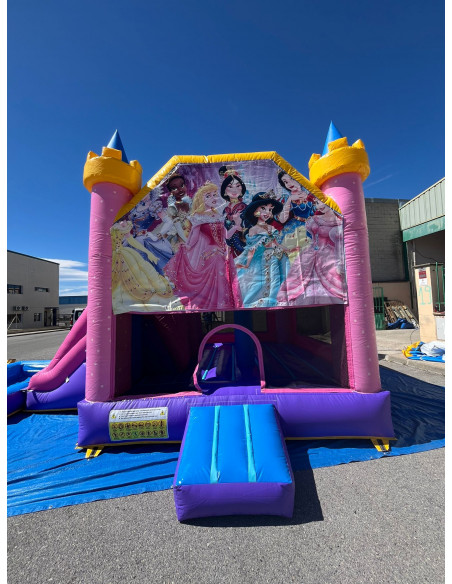 Alquiler castillo hinchable Frozen, Princesas Disney o Kpop con o sin piscina 7x5x4