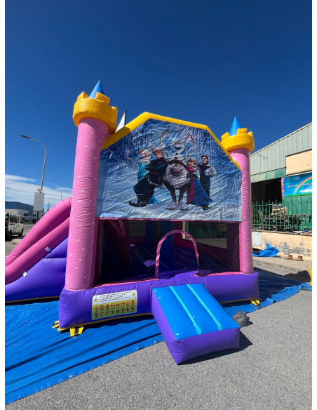 Alquiler castillo hinchable Frozen, Princesas Disney o Kpop con o sin piscina 7x5x4